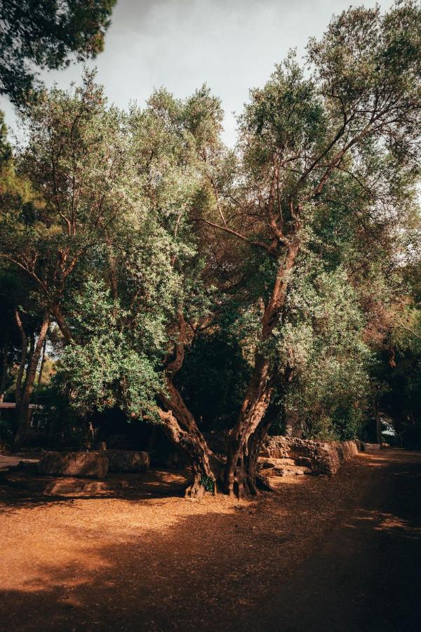 I Giardini Di Santomaj Lägenhet Leporano Exteriör bild